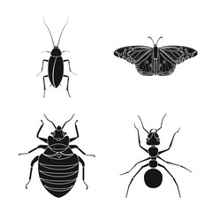 Vector design of insect and fly icon. Set of insect and element stock vector illustration.