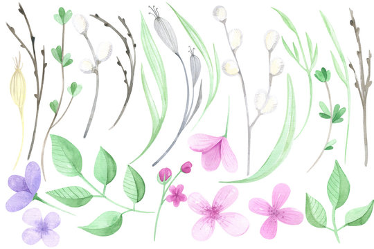 Watercolor spring floral set. Garden elements. Spring greens, twigs, willow, flowers, leaves, branch, spring flowers, greenery. Spring season illustration, garden. 
