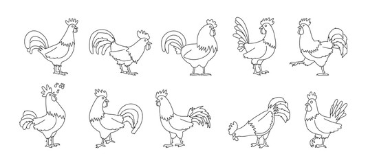 Cock of animal isolated outline set icon.Vector illustration set rooster cockerel.Vector outline icon cock of animal. © Svitlana