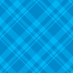 Seamless pattern in charming light and dark blue colors for plaid, fabric, textile, clothes, tablecloth and other things. Vector image.