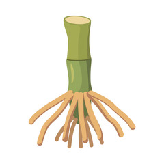 Vector design of root and cane logo. Web element of root and plant stock symbol for web.