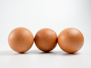  egg on white background