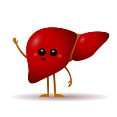 Cartoon liver vector illustration