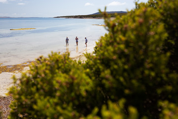 Family exploring at low tide at beautiful beach on sunny summer day in South Australia.