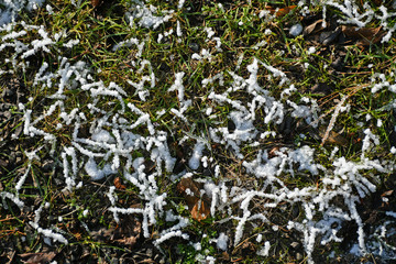 Grass field with rime in winter time