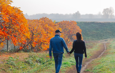 Loving couple walks in the autumn along the alley.