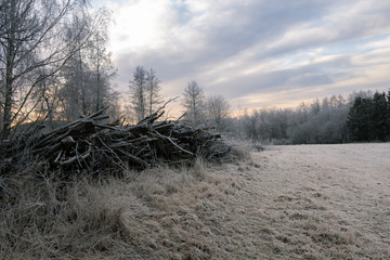 Empty fields in winter covered with the first snow