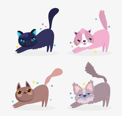 cute cats stretching itself domestic cartoon animal, collection pets