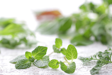 ハーブ系の緑のスペアミント © Free1970