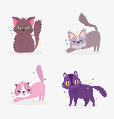 cute cats sitting stretching surprised domestic cartoon animal, collection pets