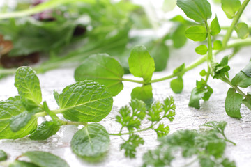 ハーブ系の緑のスペアミント