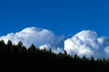 Beautiful white clouds on the natural background of the blue sky