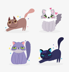 cute cats sitting lovely adorable domestic cartoon animal, collection pets