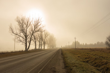 The thick fog over the field and the road with the sun. Sepia tone