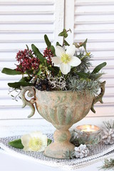 Winter-Blumenstrauß mit Christrosen-Blüte in vintage Blumenvase
