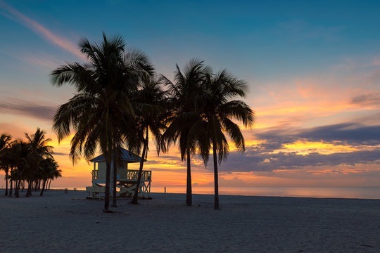 Palm trees at sunrise with lifeguard hut in Miami Beach, Florida.