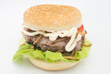Burger of endible worms  with tomato and lettuce