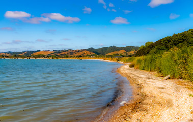 Duder Regional Park, Auckland, New Zealand