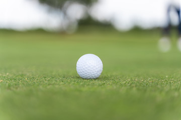 White golf ball on a golf course