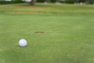 Hole in a golf course with a golf ball
