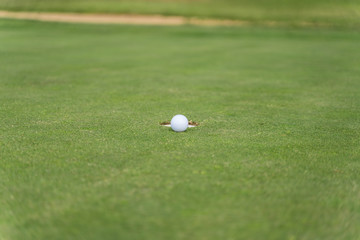 hole in the middle of a golf course with a white ball right next to it