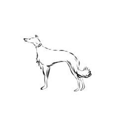 Graphic dog, pet, hand drawn graphic animal, line art 