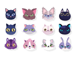 set of faces differents cats domestic cartoon animal pets