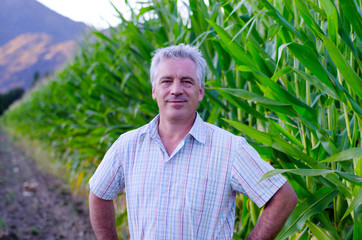 Happy Farmer Man with Grey Hair in His Corn Field.