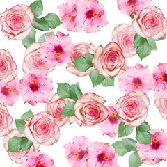 Beautiful floral background of pink hibiscus and roses. Isolated