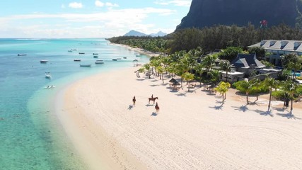 Tropical beach in Mauritius. Sandy beach with palms and blue transparent ocean. Aerial view