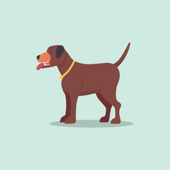 Pit bull brown dogs vector.Flat cartoon puppy isolated background