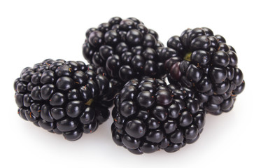 Fresh blackberry on white background