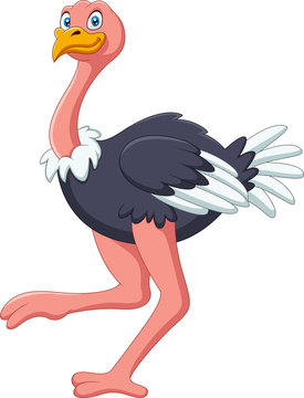 A cute cartoon ostrich stands