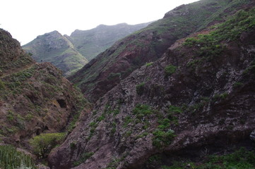 Roque Bermejo Gorge in the north of Tenerife
