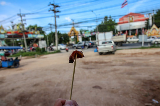 Cropped Hand Holding Meat On Skewer