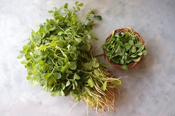 Fresh fenugreek leaves in the small basket. Indian leafy vegetable bunch of Methi Patta or Methichi Judi. With copy space.  