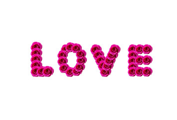 Word Love from flowers. Creative concept with natural pink roses. Floral lettering, text isolated on white background for design or print