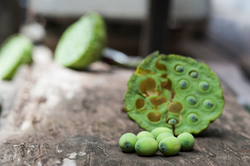 Lotus seed or lotus nut. The traditional Chinese and Indian medicine. Good for healty and can eat both fresh and dried seed as a snack or cooking as a food. Shooting on vintage wood surface table.