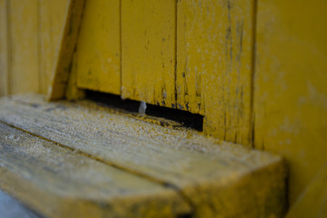 January on an apiary, Frozen yellow beehive with bees.