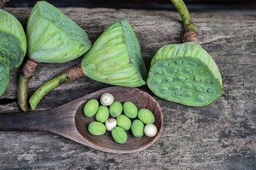 Lotus seed or lotus nut. The traditional Chinese and Indian medicine. Good for healty and can eat both fresh and dried seed as a snack or cooking as a food. Shooting on vintage wood surface table.
