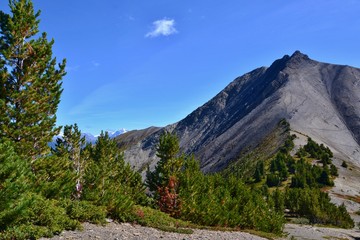 Gray mountain, green bushes, mountain range near city Golden, Canada. Sunny day, blue sky in Canadian Rockies.