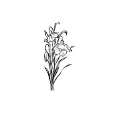 graphic bouquet of lilies