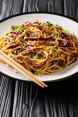 Asian Noodle Salad with thinly sliced red cabbage, julienned carrots in spicy peanut dressing close-up in a plate. horizontal