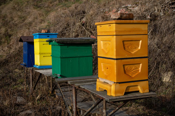 Sunny winter, wintering bees on an apiary, Small apiary