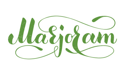 Vector hand written marjoram text isolated on white background. Kitchen healthy herbs and spices for cooking. Script brushpen lettering with flourishes. Handwriting for banner, poster, product label