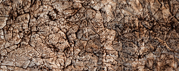 Old paper background. Abstract brown grunge paper texture. Banner.