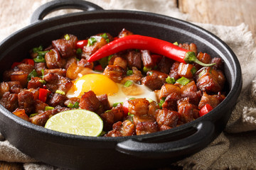 Spicy and sizzling pork sisig is a favorite for Filipinos close-up in a pan on the table. horizontal