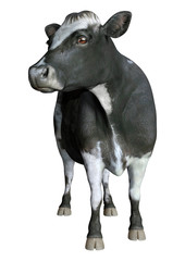 3D Rendering Cow on White