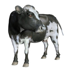 3D Rendering Cow on White