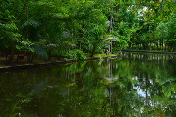 Obraz premium landscape of public park in the morning with view of water small pond
